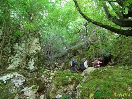Pasada del Picayo: Subiendo entre bosque