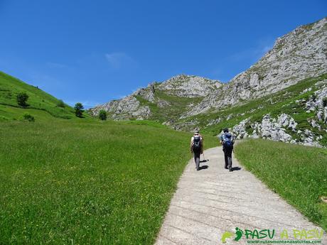 Ruta al Cueto Cerralosa y Jajao: Pista a la Braña la Mesa