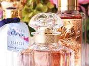 fragancias favoritas