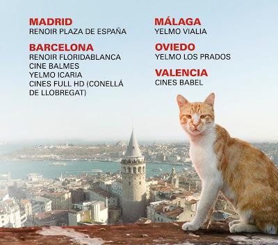 Kedi (Gatos de Estambul). La convivencia entre el hombre y el gato.