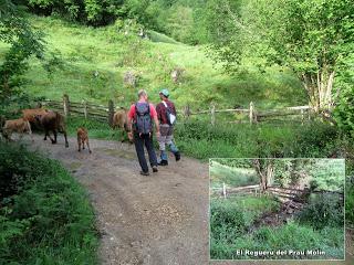 La Pumará-Los Tornos-La Foz de Covellayo-La Foz l'Apertón-Cuadrazu-Los Collaos la Pedriquina-El Picu-La Carba'l Picu