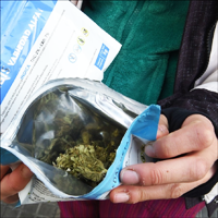 Cómo comprar marihuana en Uruguay