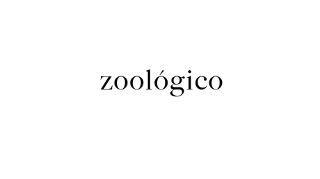 Zoológico - 2011