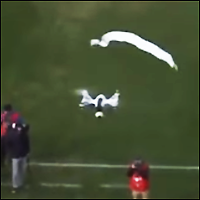 Cómo derribar un dron (vídeo)
