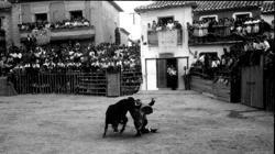 1916, Toros y tiros en Bargas: capea sangrienta (y II)