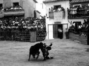 1916, Toros tiros Bargas: capea sangrienta