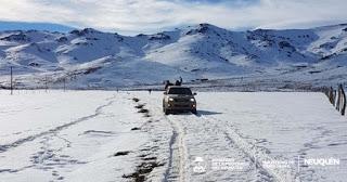 Comunicado Nº11 del Comité Preventivo de la provincia del Neuquén