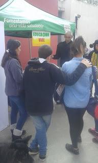 educacion vial en las escuelas