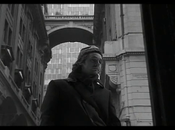 hormigas asesinas 2005