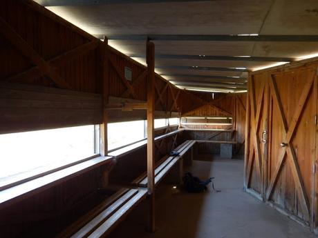 Estany del Remolar y Marismas de les Filipines. Delta del Llobregat