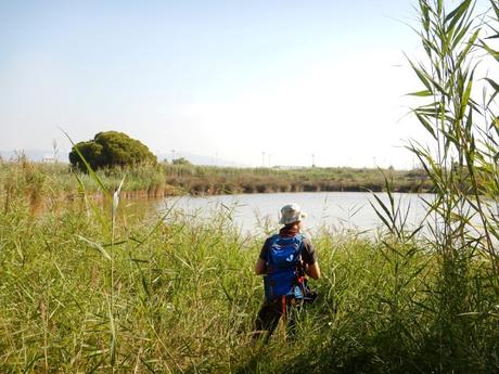 Estany del Remolar y Marismas de les Filipines. Delta del Llobregat