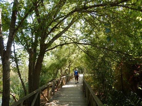 Estany del Remolar y Marismas de les Filipines. Delta del Llobregat