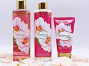 gusta aroma peonias?. Entonces adoraras “Pivoine Féerie” Jeanne Provence