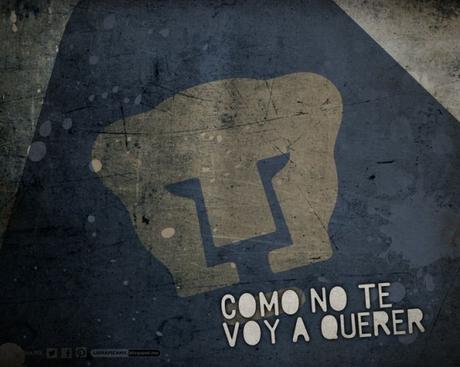 Que dice Palencia del plantel, último refuerzo y Matías Britos, Quién transmite el Pumas vs Pachuca