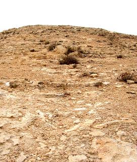 La duna fósil. El ciclo vital.