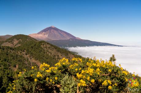 Fotografía del paisaje del volcán y parque nacional Teide en Tenerife