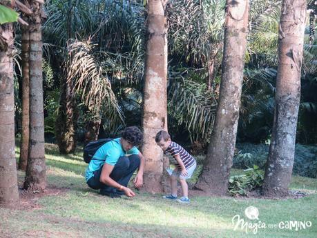 Parque Inhotim, arte y naturaleza en un solo lugar