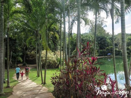 Parque Inhotim, arte y naturaleza en un solo lugar