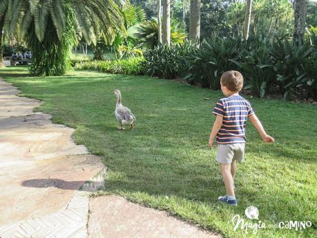 Parque Inhotim, arte y naturaleza en un solo lugar