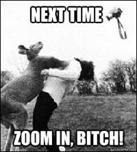 11 Razones Para NO Visitar Australia