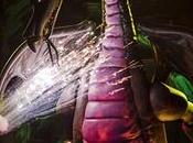 Fantasmic! vuelve renovado Disneyland