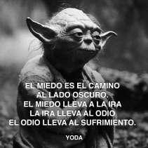 Yoda odio