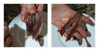 BOQUERONES EMPANADOS