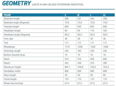 Giant Reign 2018, perfeccionando la especie