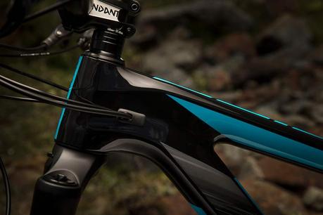 Giant Reign 2018, perfeccionando la especie