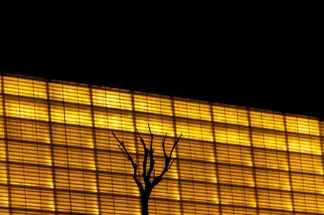 Harto de los convencionalismos en la fotografía Harto I