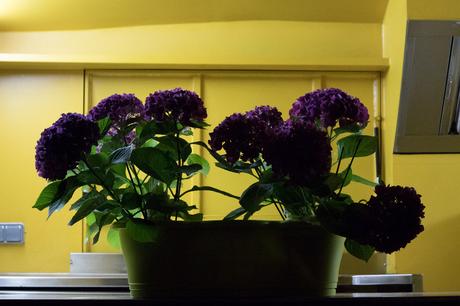 Canon Eos M6 Iso3200 F 6 31 40 S