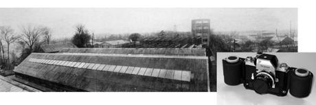 Oidai Ichiplant Now Oi Plant Y Nikon I