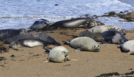 Punta Norte (diciembre de 2016)