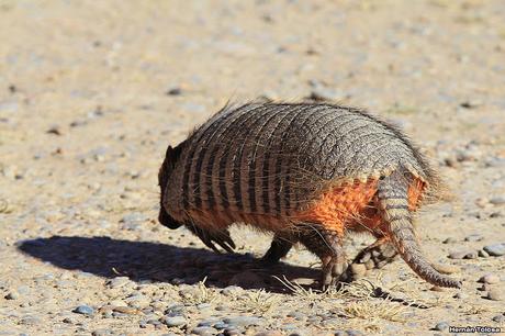Punta Norte (diciembre de 2016)