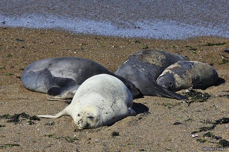 Punta Norte (diciembre de 2016)