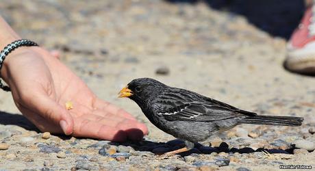 Punta Norte (diciembre de 2016)