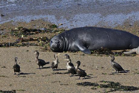 Punta Norte (diciembre de 2016)