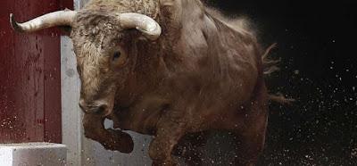 Ley de toros en las Baleares, sin sangre y sin muertes.