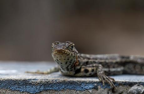 Isabela, tintoreras, túneles y tantas cosas