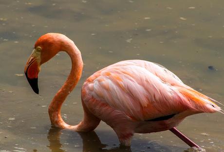 Isabela, tintoreras, túneles y tantas cosas