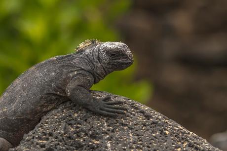 Isabela, tintoreras, túneles y tantas cosas