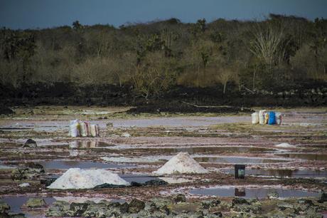 Isabela, tintoreras, túneles y tantas cosas