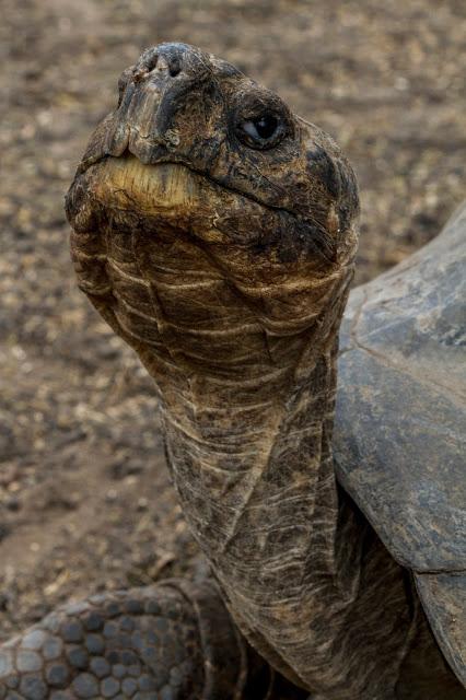 Isabela, tintoreras, túneles y tantas cosas