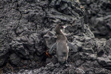 Isabela, tintoreras, túneles y tantas cosas