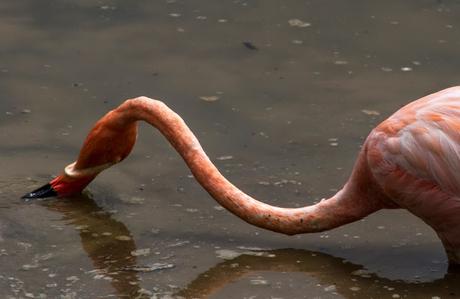 Isabela, tintoreras, túneles y tantas cosas