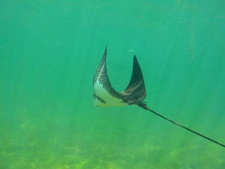 Isabela, tintoreras, túneles y tantas cosas