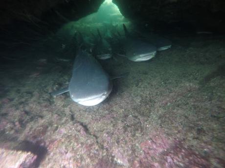 Isabela, tintoreras, túneles y tantas cosas