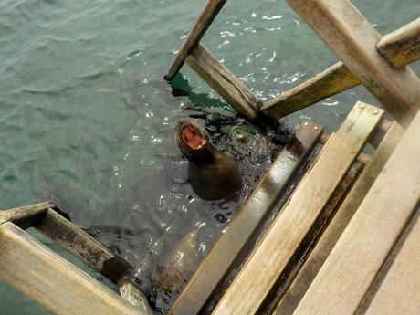 Isabela, tintoreras, túneles y tantas cosas