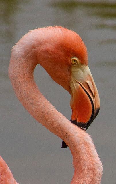 Isabela, tintoreras, túneles y tantas cosas
