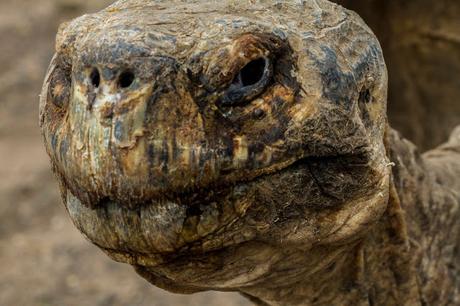 Isabela, tintoreras, túneles y tantas cosas